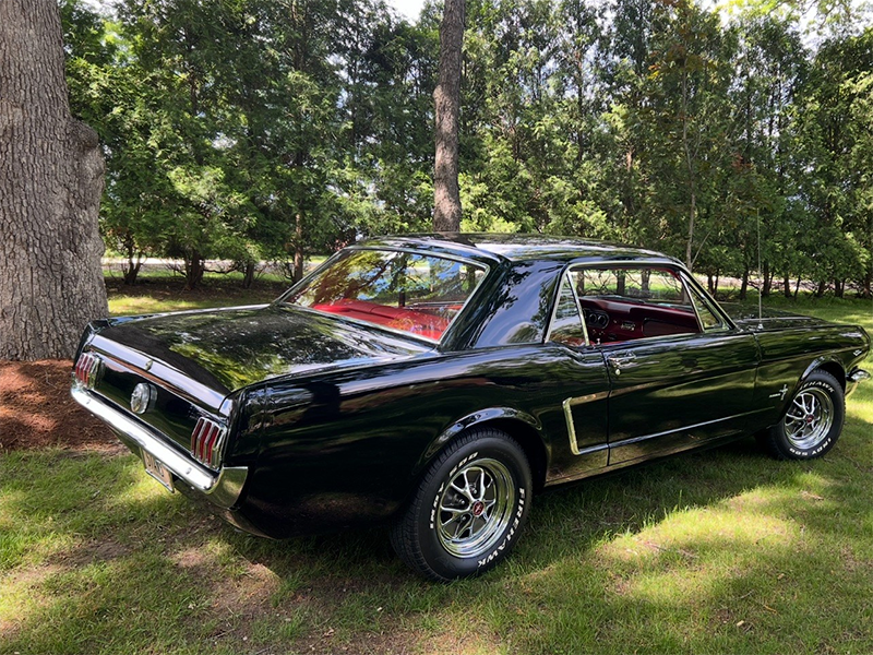 Stan stang